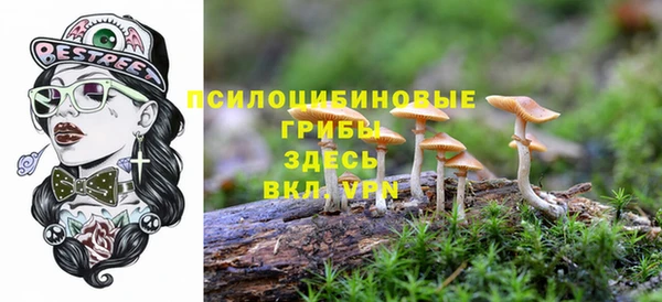 стафф Баксан