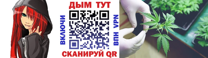 наркота  дарк нет состав  Конопля гибрид  Курганинск  mega вход 